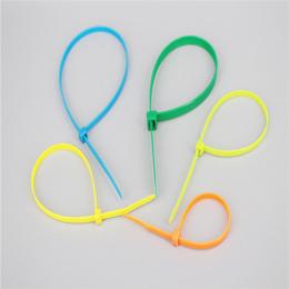  Self-Locking Nylon Cable Tie