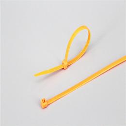 3.6x250 Nylon Cable Ties