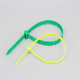 2.5x100 Nylon Cable Ties